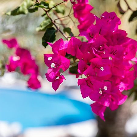 Vila Balaia - Luxury Boutique Villas อัลบูเฟรา ภายนอก รูปภาพ